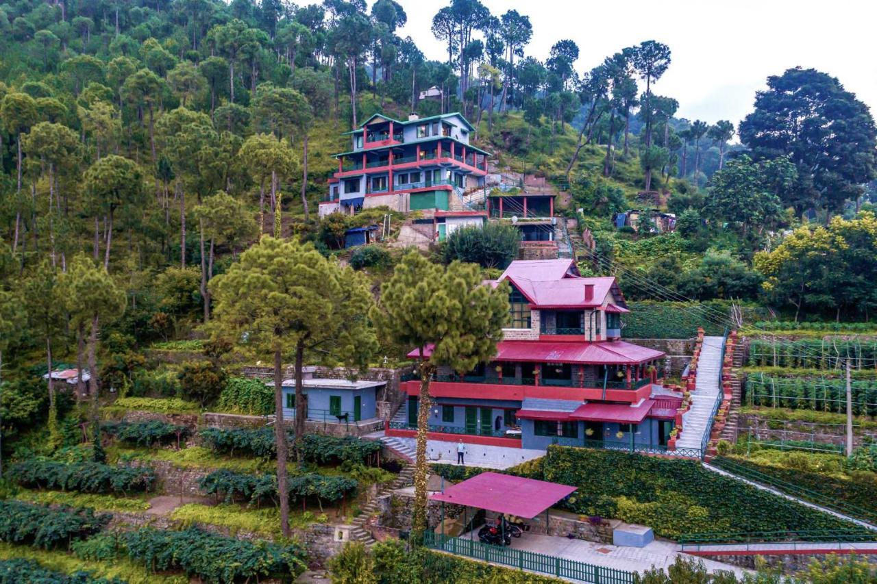 Stayvista At Cecil Cottages With Barbeque, Hill View Kasauli Zewnętrze zdjęcie