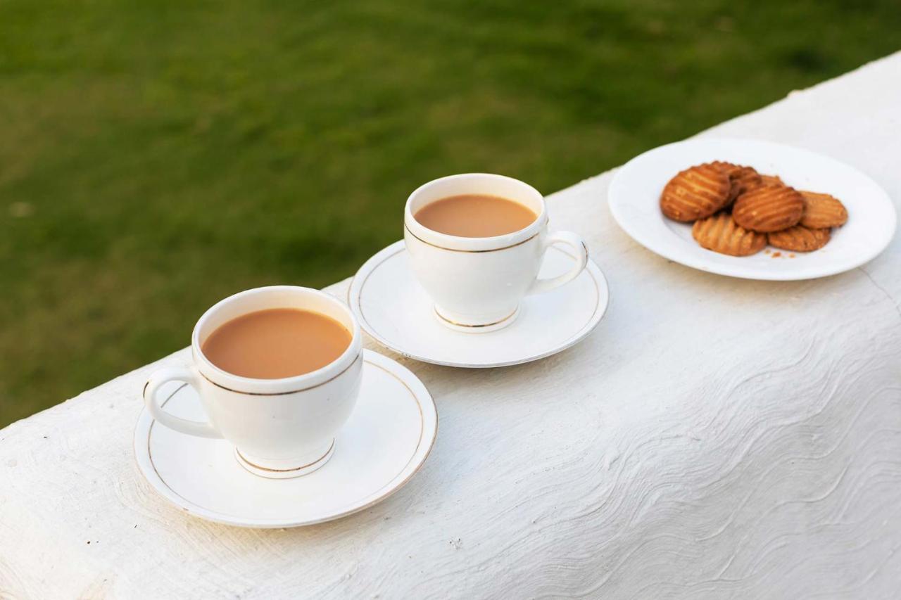 Stayvista At Cecil Cottages With Barbeque, Hill View Kasauli Zewnętrze zdjęcie